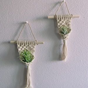 (2) macrame air plant hanging wall with plants